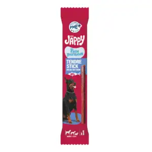 JAPPY Tendre Stick Thon x1 (12g)