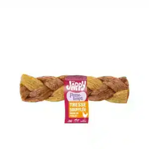 P&M JAPPY tresse soufflée